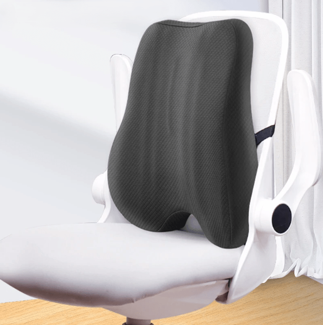 Coussin lombaire ergonomique | Posture+ - Paralma Media