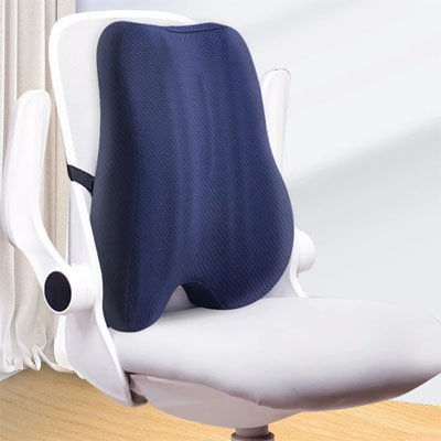 Coussin lombaire ergonomique | Posture+ - Paralma Media