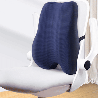 Coussin ergonomique dorsal démonstration