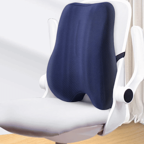 Coussin ergonomique dorsal démonstration