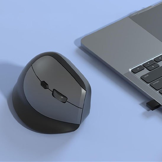 Souris ergonomique | Confort Premium - Paralma Media